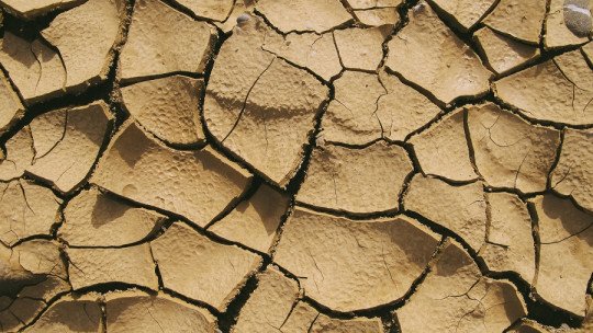 ¿Cuáles son los efectos psicológicos del Cambio Climático?