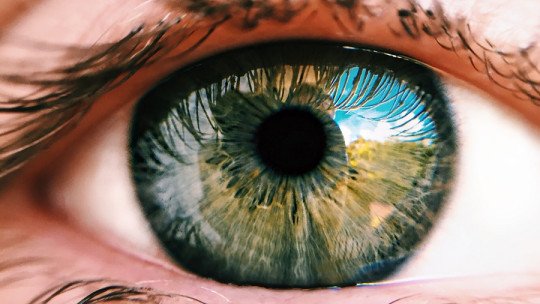 ¿En qué problemas se aplica la Terapia EMDR?