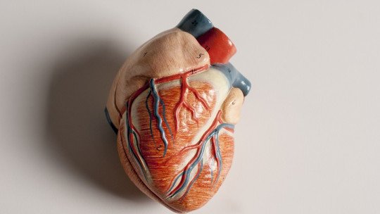 Psicocardiología