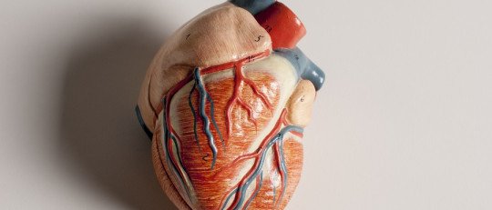 Psicocardiología
