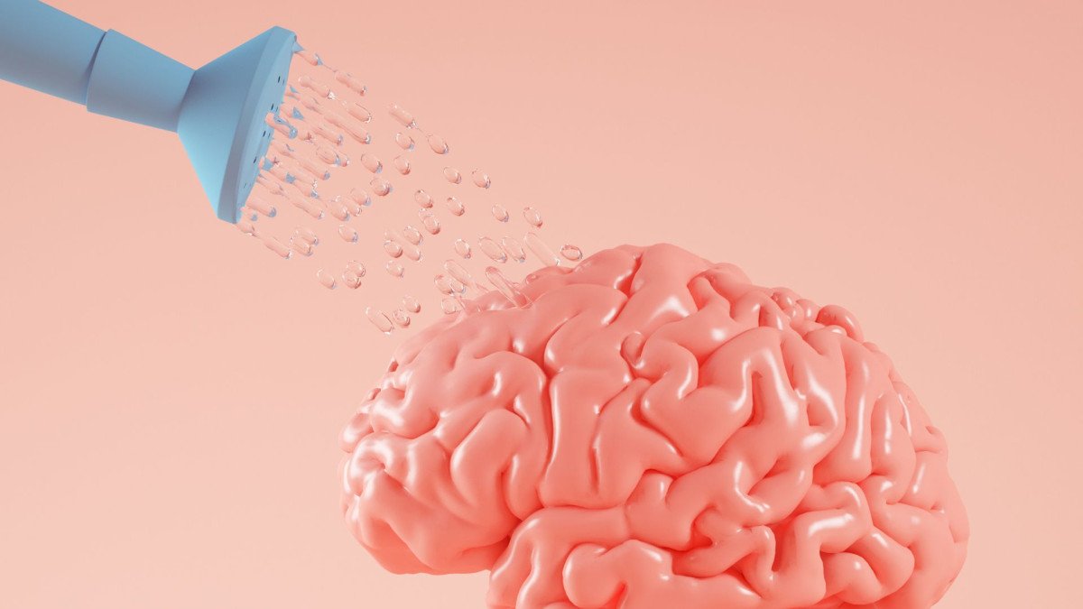cerebro-emocional