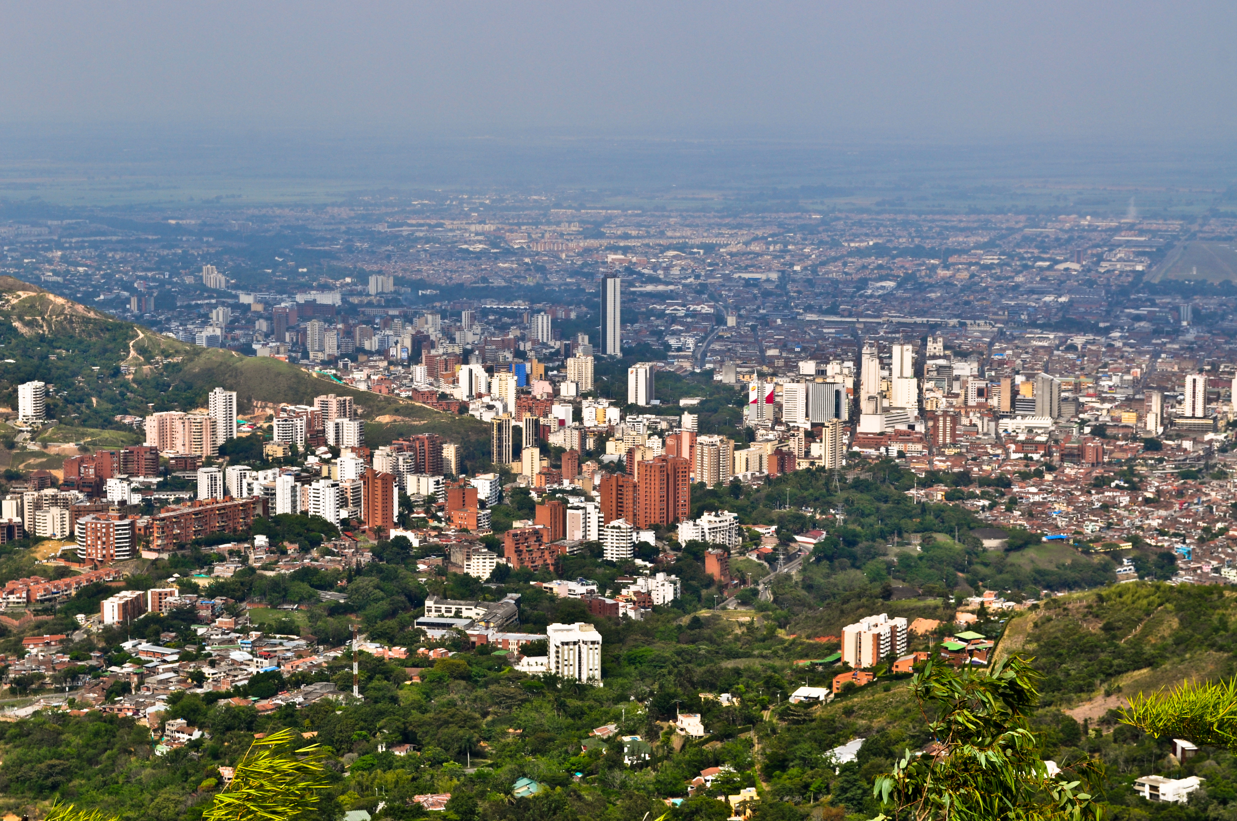 Sexólogos en Cali
