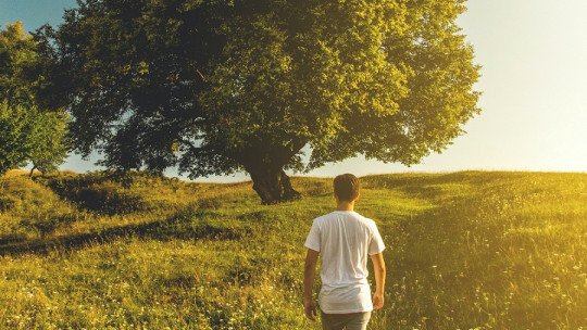 Ansiedad Medioambiental