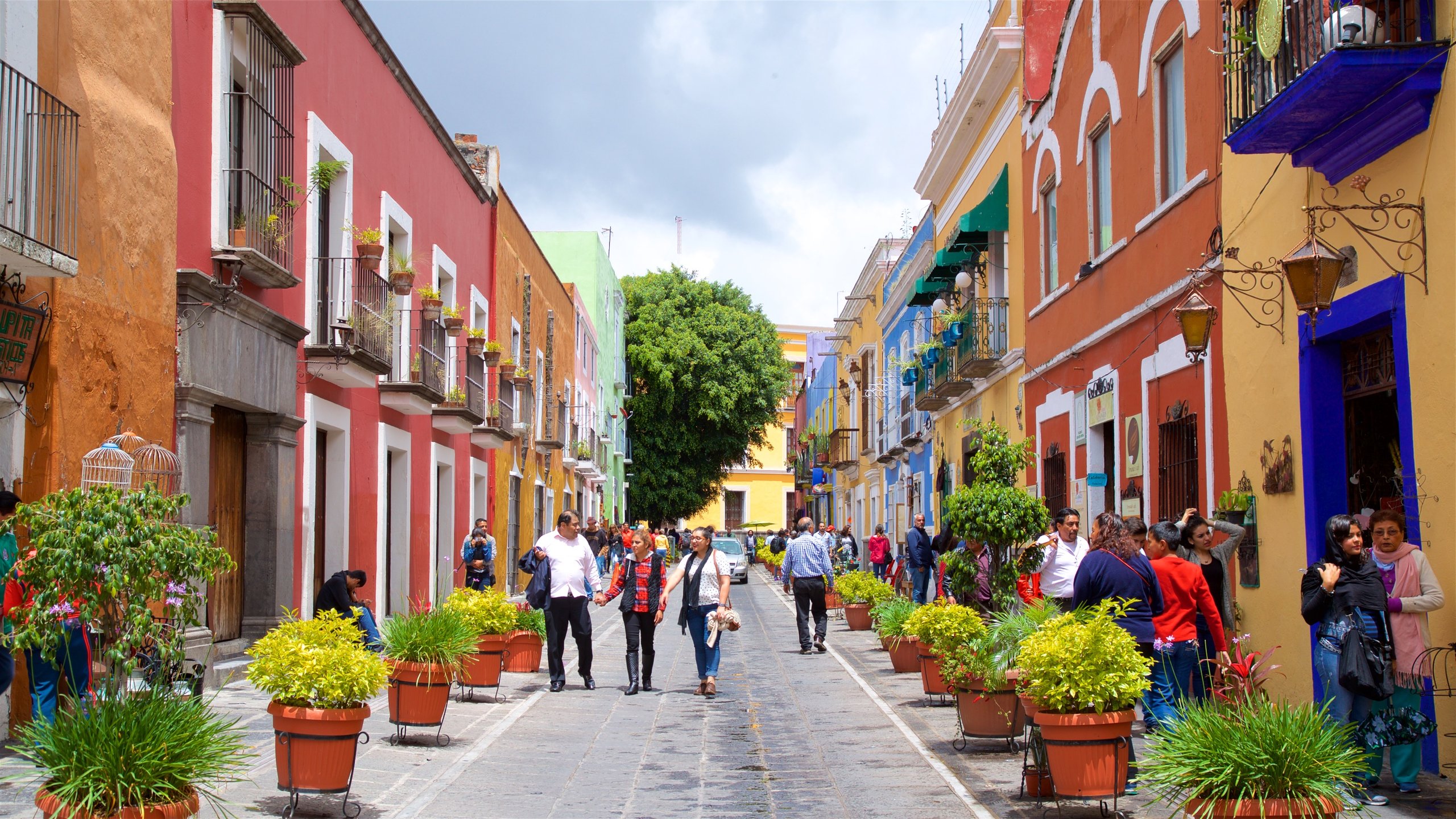 Coach en Puebla