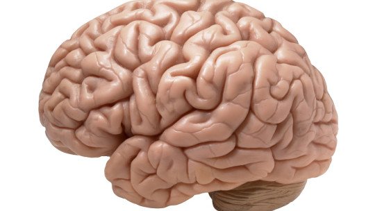 Evaluación neuropsicológica para detectar el TDAH