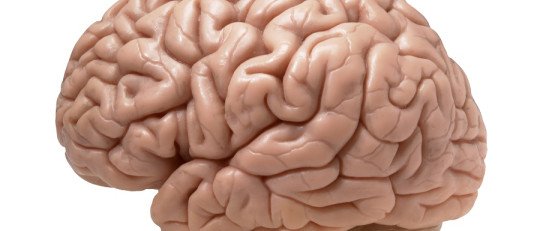 Evaluación neuropsicológica para detectar el TDAH