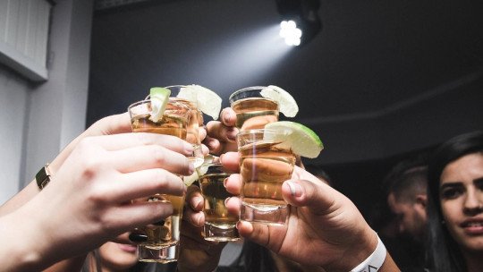 Los efectos del Alcohol en el desarrollo del Lóbulo Frontal