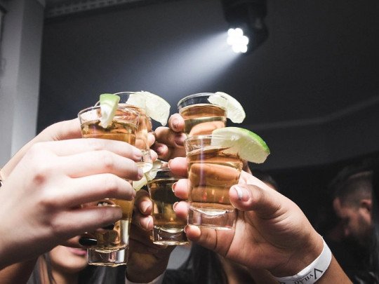 Los efectos del Alcohol en el desarrollo del Lóbulo Frontal
