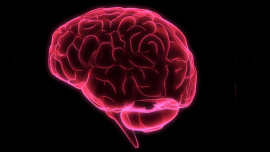 Cerebro en 3D.