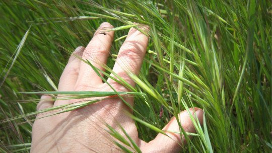 como-cultivar-bienestar-a-traves-sentidos