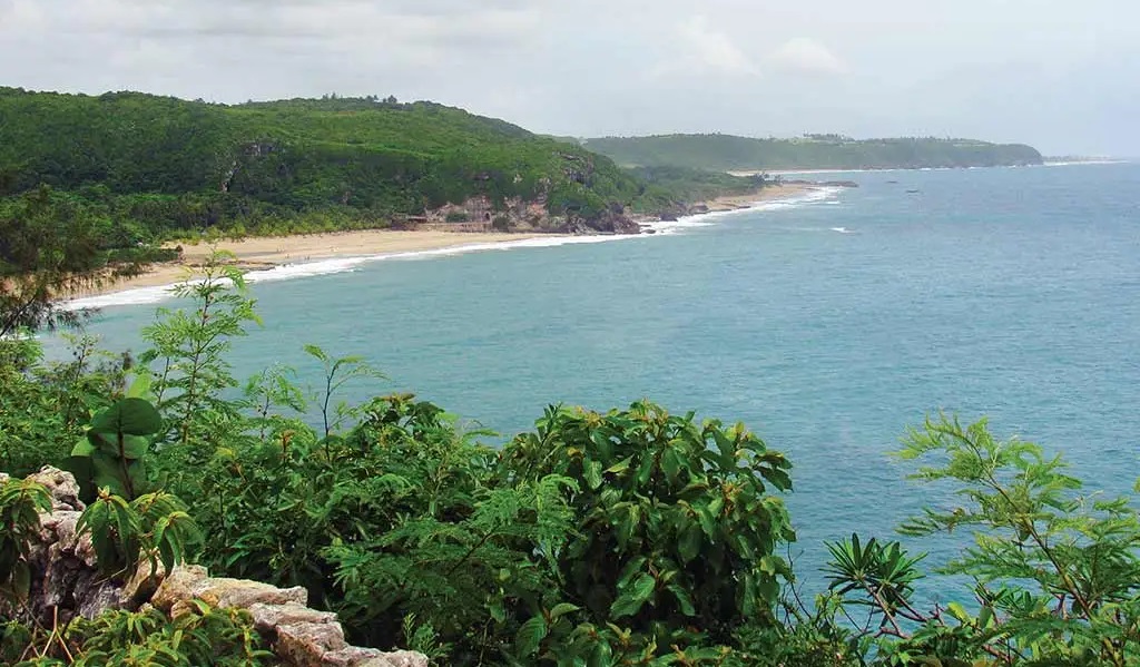 Psicólogos en Vega Alta (Puerto Rico)