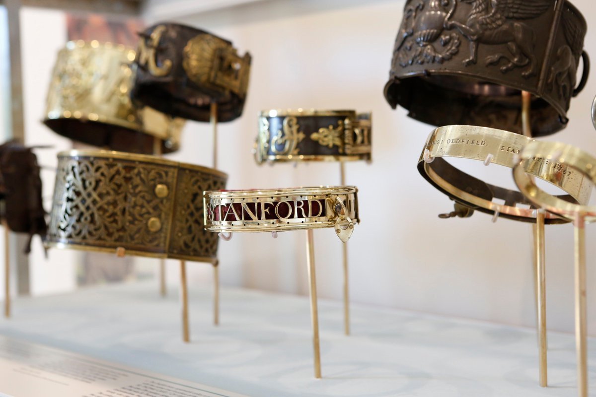 Museo del Collar de Perro