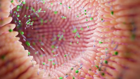 como-microbiota-influencia-bienestar-mental