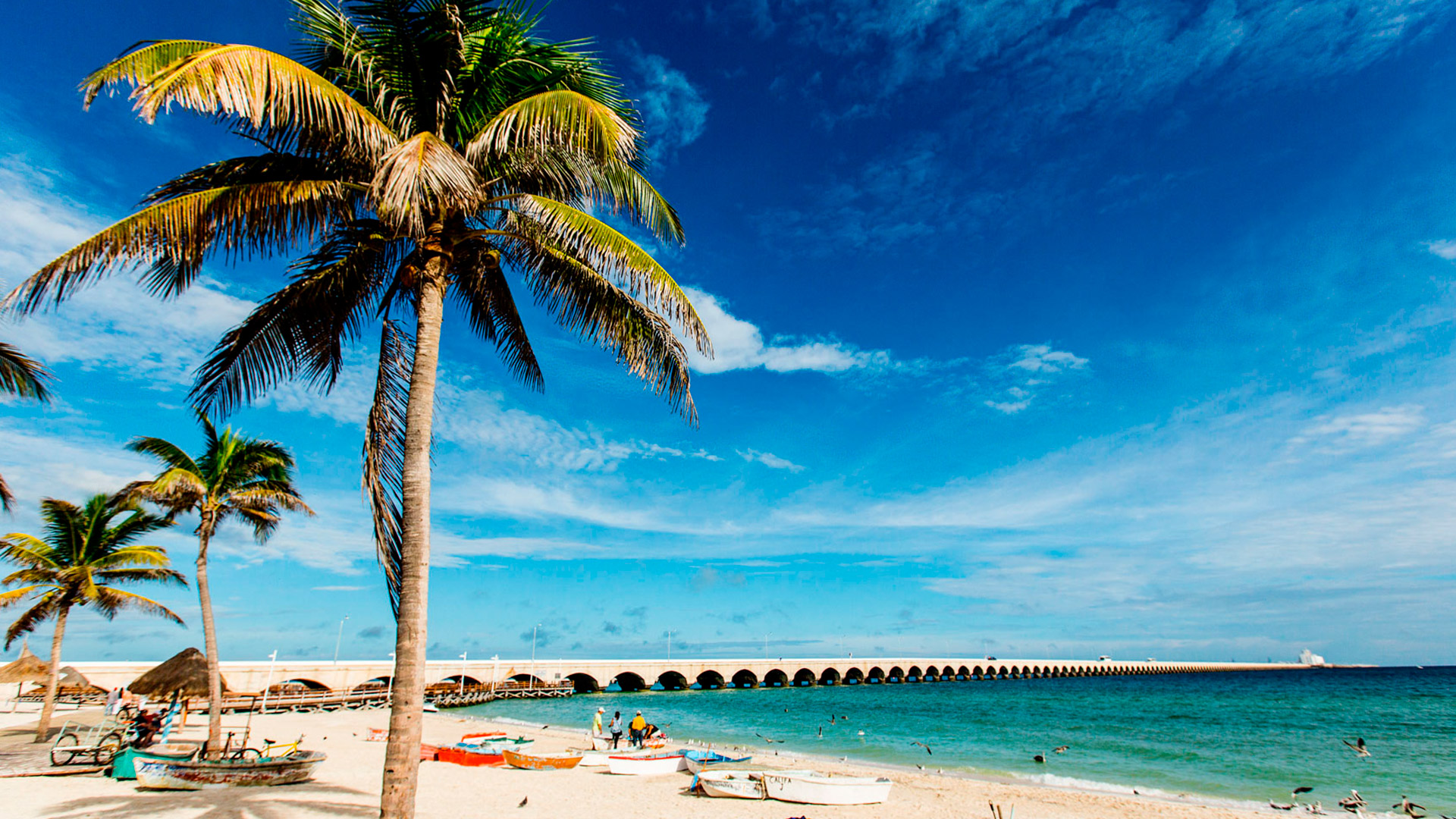 Psicólogos en Progreso (Yucatán)