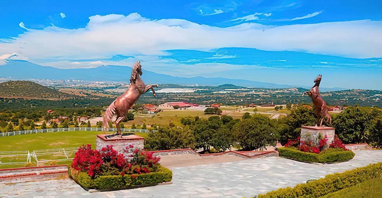 Psicólogos en Amozoc de Mota (Puebla)