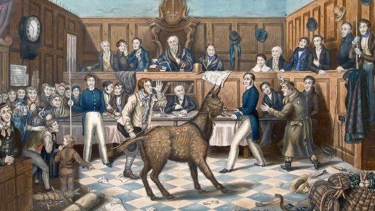 animales-llevados-a-juicio