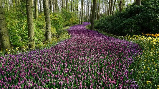 ¿Cómo nos influye el cambio de estación con la Primavera?