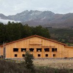 Dhamma Sacca Vipassana  (Madrid)