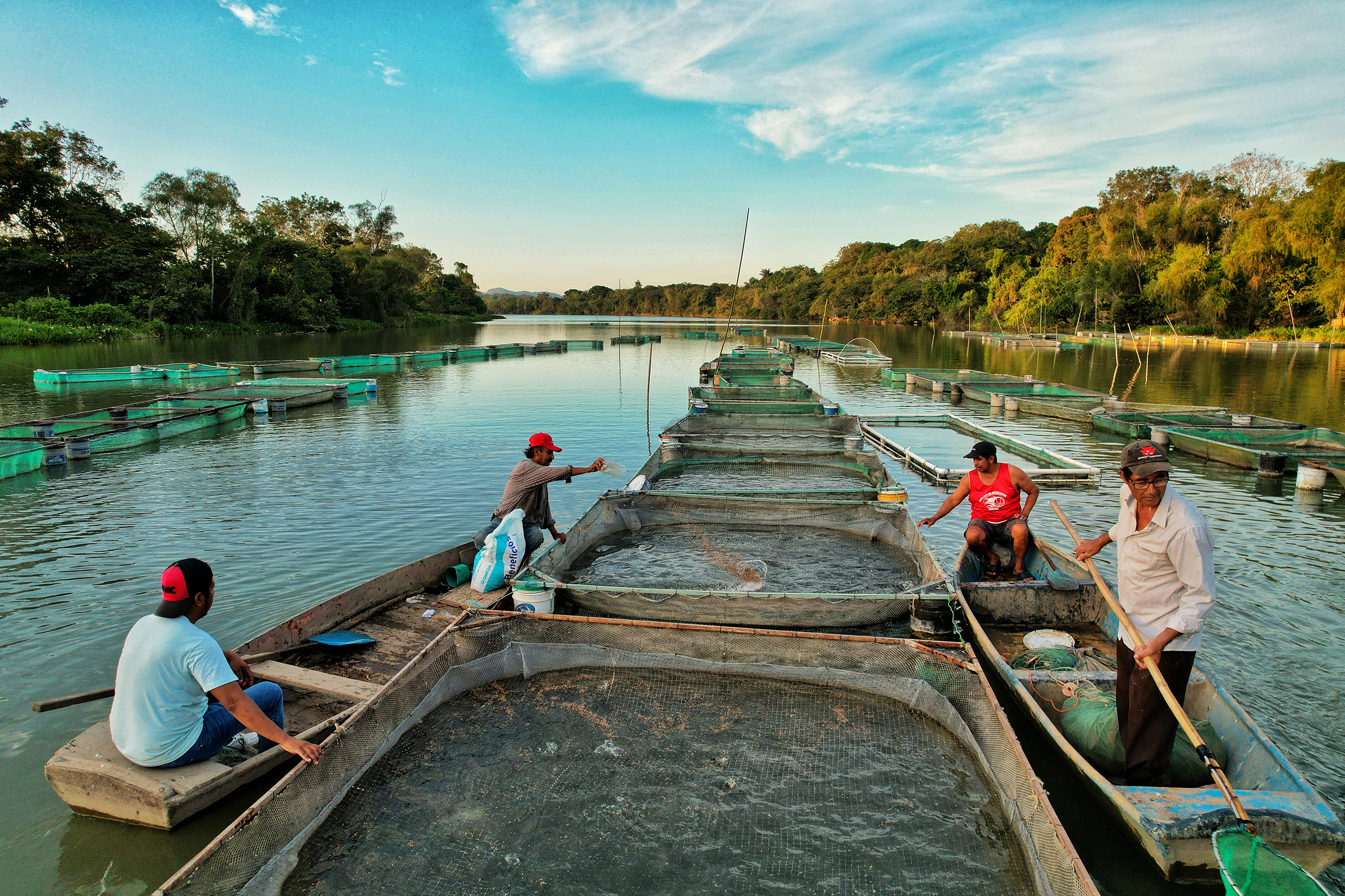 Psicólogos en Álamo Temapache (Veracruz)