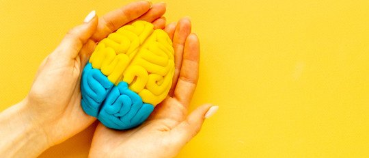 neurociencia-envejecimiento-como-cambia-cerebro-edad