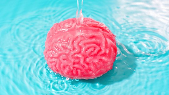 se-puede-vivir-sin-parte-cerebro
