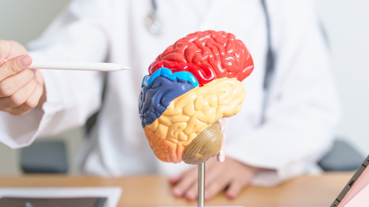 vivir-sin-parte-cerebro