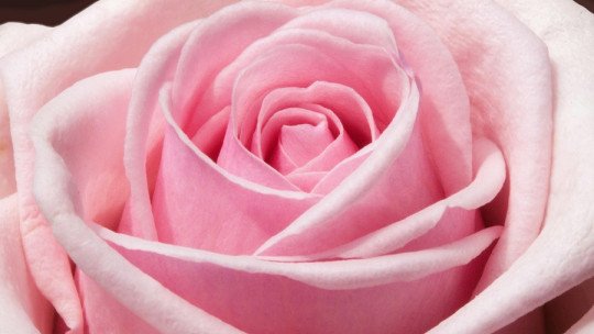 ¿Es cierto que 'la primavera la sangre altera'?