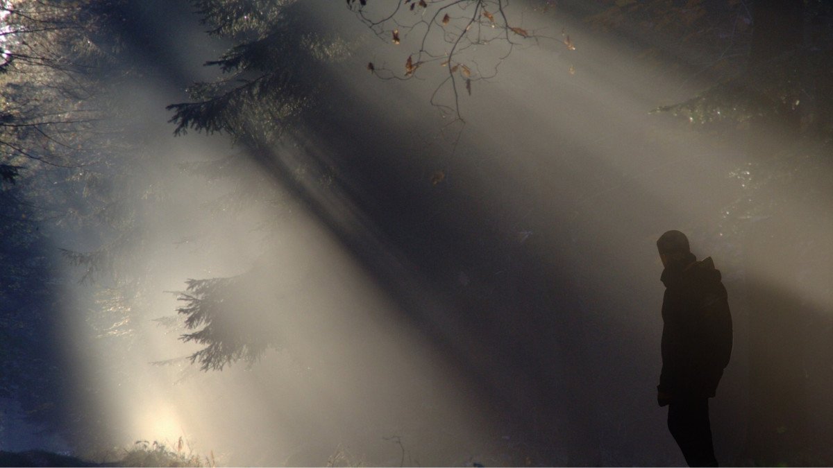 como-aceptar-nuestras-sombras