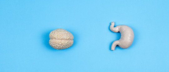 como-influye-emocionalmente-segundo-cerebro-sistema-digestivo
