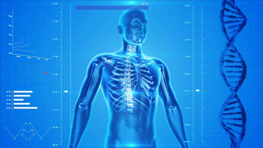Cuerpo humano.