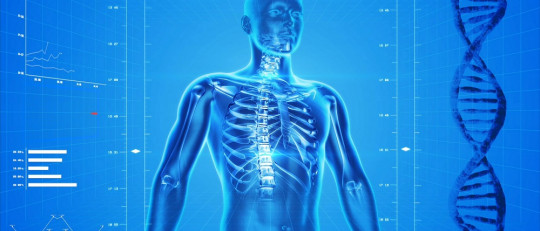 Cuerpo humano.