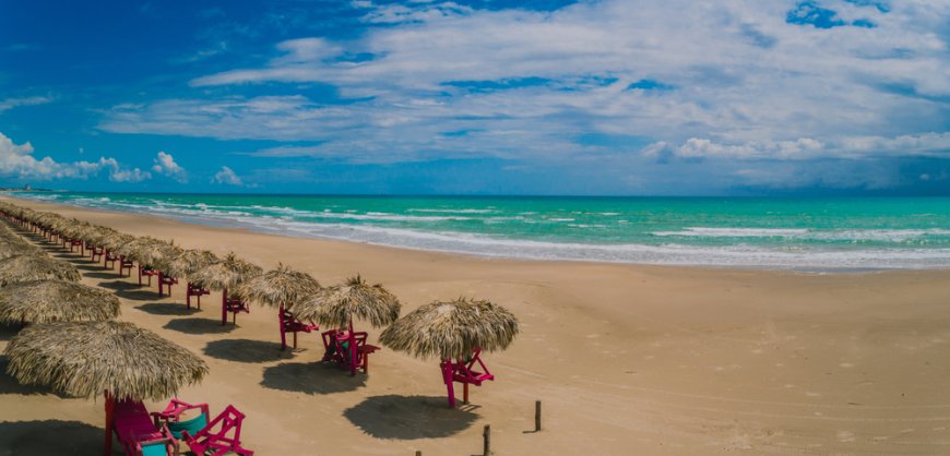Psicólogos expertos en Terapia de Pareja en Tampico