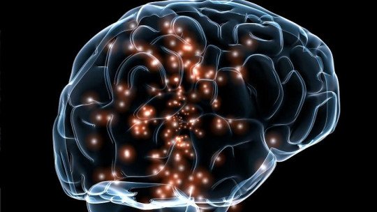 Inventan una forma de administrar fármacos directamente en el Cerebro