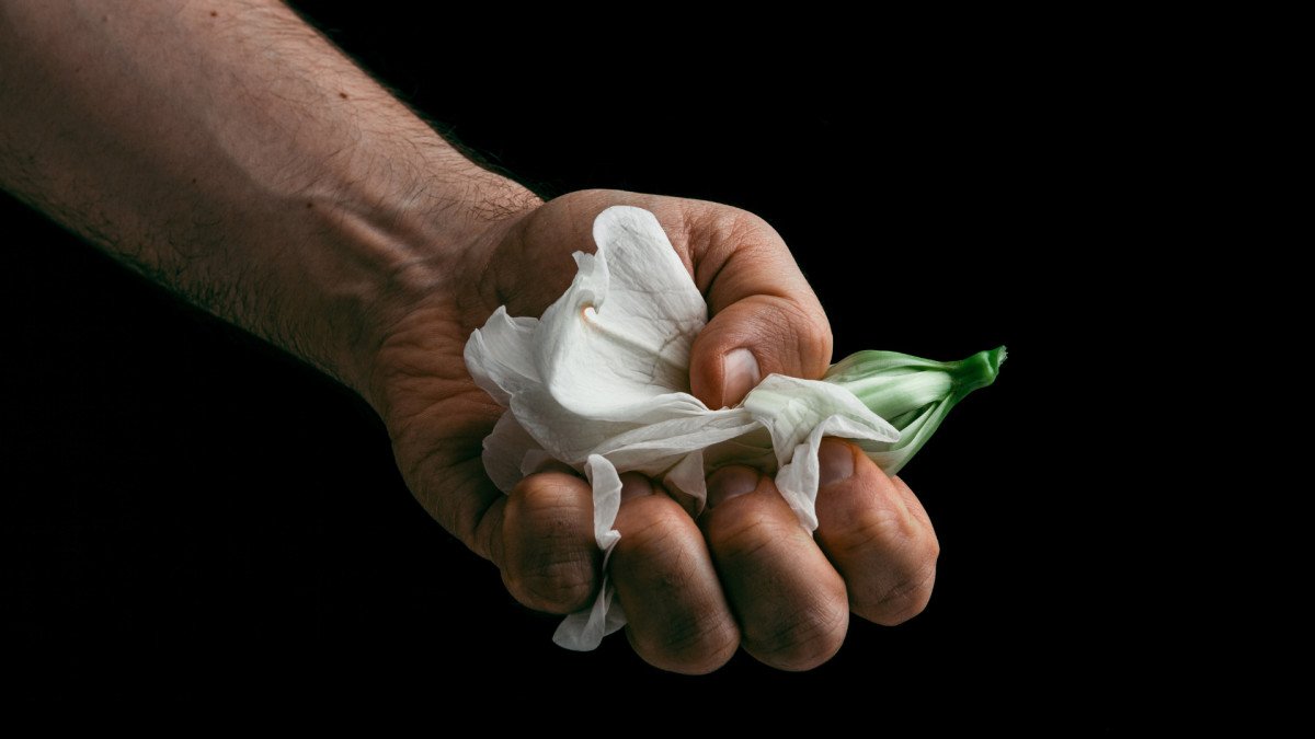 ¿Qué nos hace hoy tan violentos?