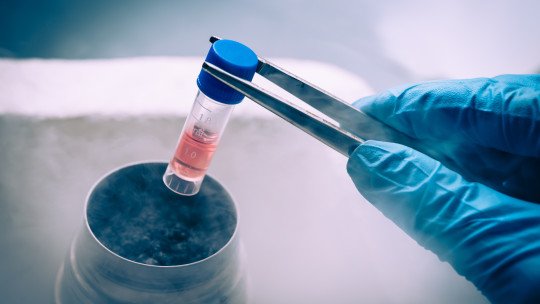 Trasplante células para tratar enfermedades neurológicas