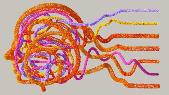 El cerebro en acción: transformación, recuperación y bienestar a través de la neuropsicología clínica