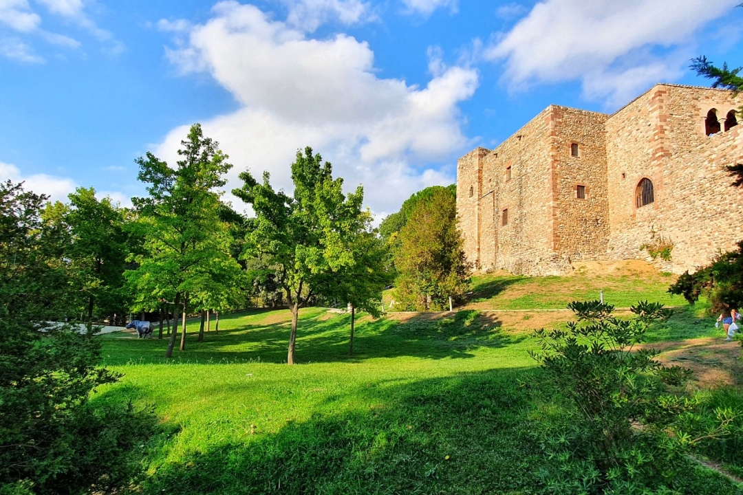 Centros de Día en Terrassa