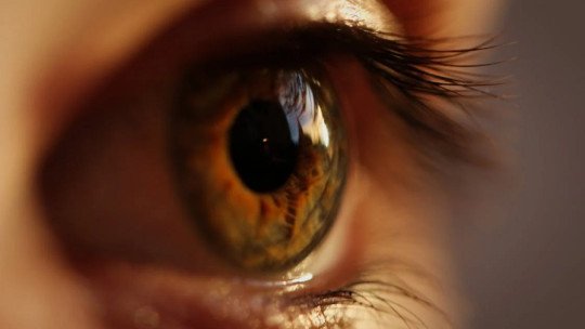 Sanar el pasado para vivir el presente: cómo el EMDR te puede ayudar
