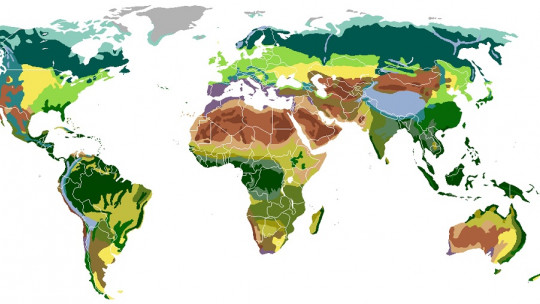 Tipos de biomas