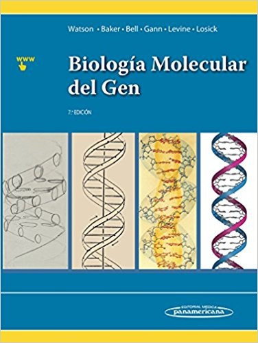 Biología molecular del gen