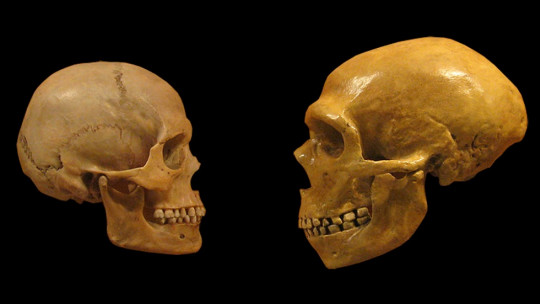 Neandertales