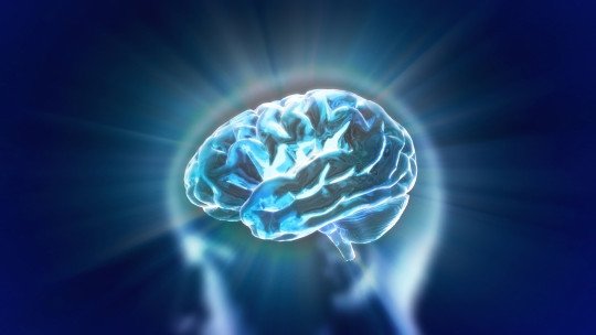 Esta parte del cerebro te hace más o menos vulnerable al estrés postraumático