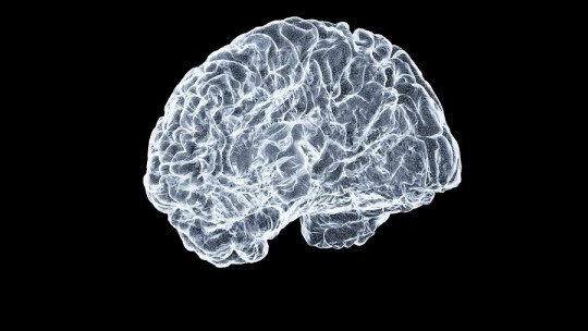 Así es como cambia el Cerebro de las personas con Depresión que van a Terapia