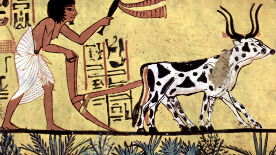 Etapas de la prehistoria