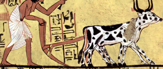 Etapas de la prehistoria