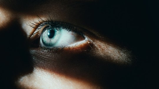 Enfrentar los problemas o huir de ellos: un análisis sobre la respuesta humana ante la adversidad