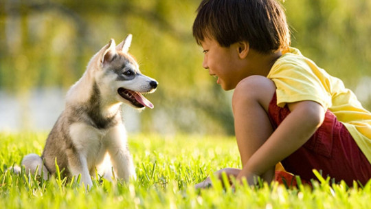 Niños y animales