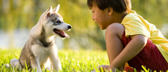 Niños y animales