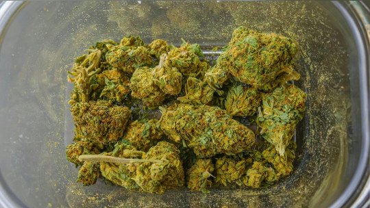 Cómo el cannabis en la adolescencia aumenta el riesgo de trastornos mentales