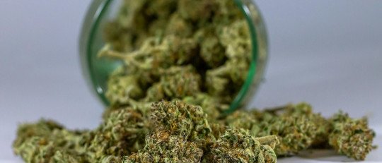 ¿Cómo se aprende a dejar la marihuana con la terapia cognitivo-conductual?